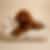 Generated image Haz_que_el_caniche_t-edit-1752501370196.png