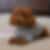 Generated image kling-video-img-xc0ghMRuoo5biOW87b6Ti.png